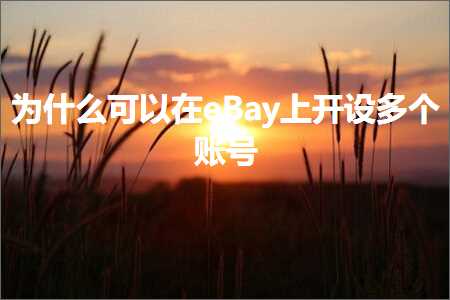 跨境电商知识:为什么可以在eBay上开设多个账号